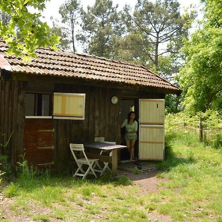 Cabane en forêt Onesse-et-Laharie Eksteriør billede