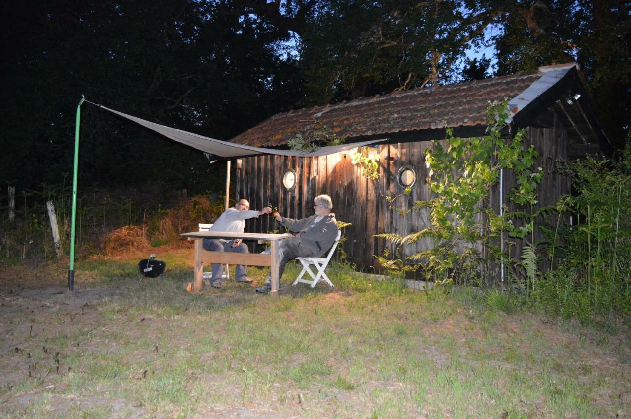 Cabane en forêt Onesse-et-Laharie Eksteriør billede