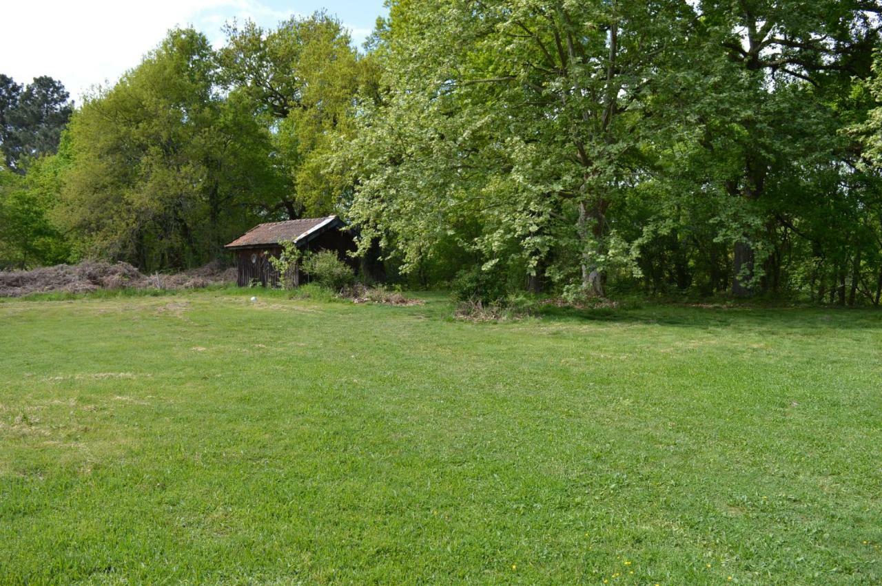 Cabane en forêt Onesse-et-Laharie Eksteriør billede