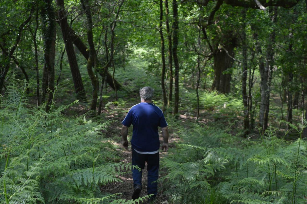 Cabane en forêt Onesse-et-Laharie Eksteriør billede