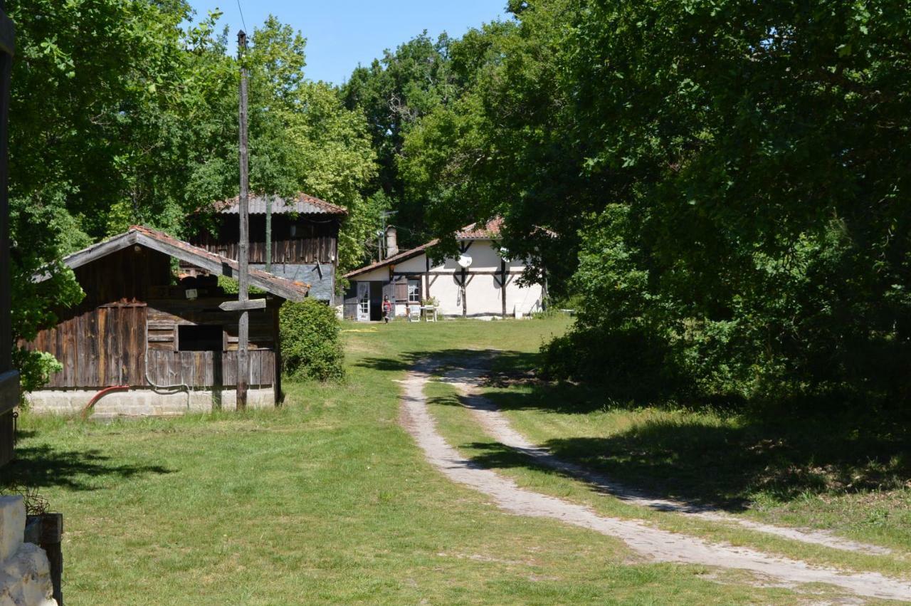 Cabane en forêt Onesse-et-Laharie Eksteriør billede